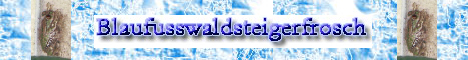 Blaufusswaldsteigerfrosch-Website
