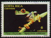 Bild Briefmarke Rotaugenfrosch